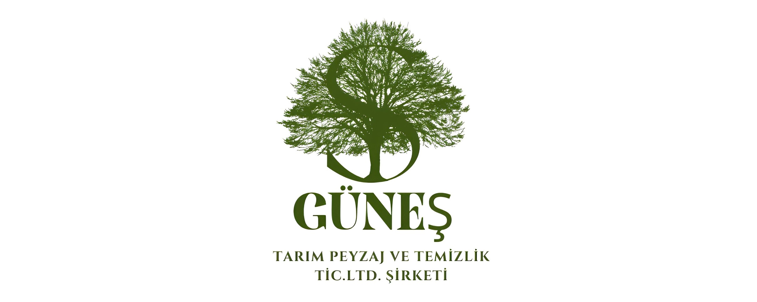 Serdar Güneş Peyzaj